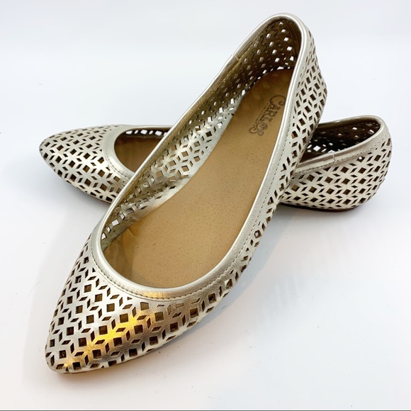 carlos santana flats